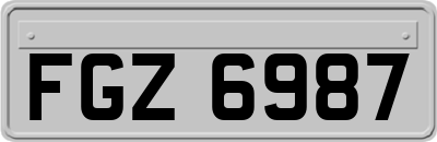 FGZ6987