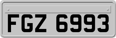 FGZ6993