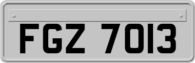 FGZ7013