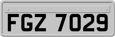 FGZ7029