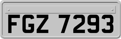 FGZ7293