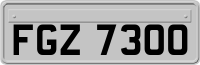 FGZ7300
