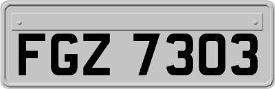 FGZ7303