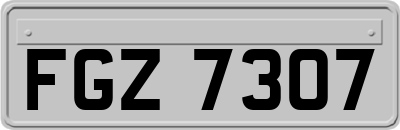 FGZ7307