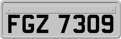 FGZ7309