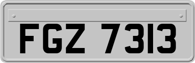 FGZ7313