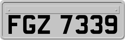 FGZ7339