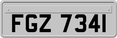 FGZ7341