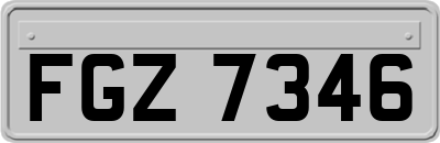 FGZ7346