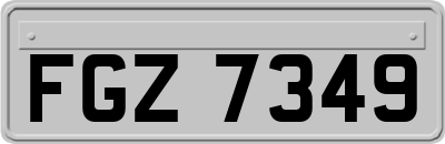 FGZ7349