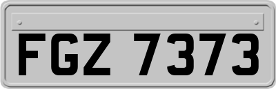 FGZ7373