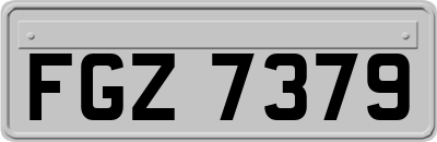 FGZ7379