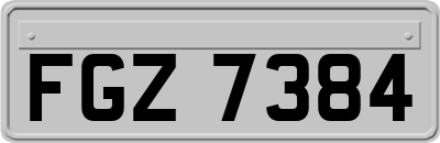 FGZ7384