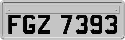 FGZ7393