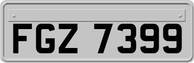 FGZ7399