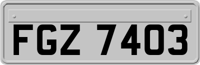 FGZ7403