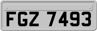 FGZ7493