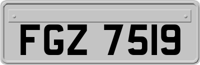 FGZ7519