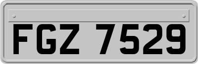 FGZ7529
