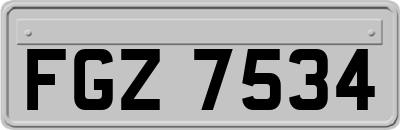 FGZ7534