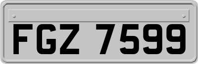 FGZ7599