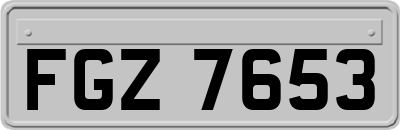 FGZ7653
