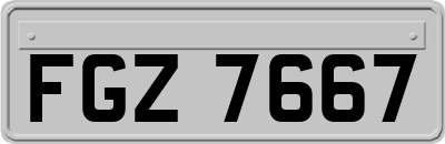FGZ7667