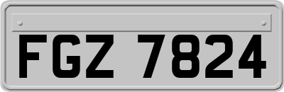 FGZ7824