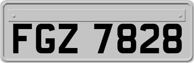 FGZ7828