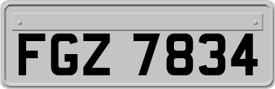 FGZ7834