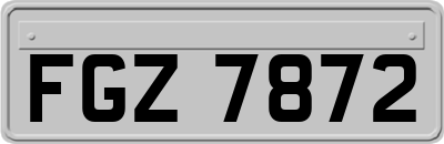 FGZ7872