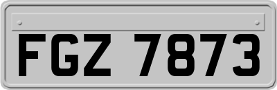 FGZ7873