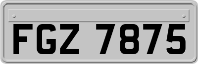 FGZ7875