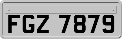 FGZ7879