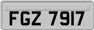 FGZ7917