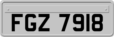 FGZ7918