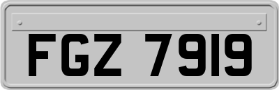 FGZ7919
