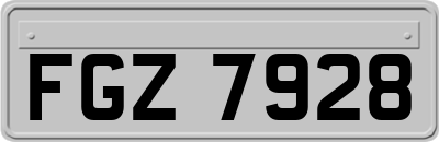 FGZ7928