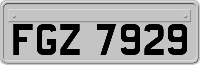 FGZ7929