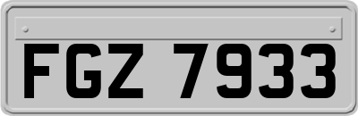 FGZ7933