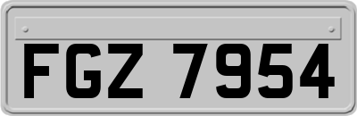 FGZ7954