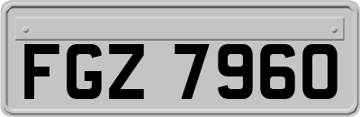 FGZ7960