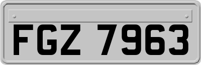 FGZ7963