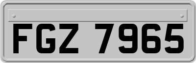 FGZ7965