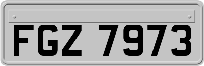 FGZ7973