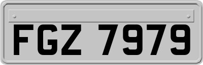 FGZ7979