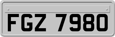 FGZ7980