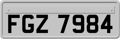 FGZ7984