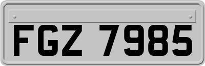 FGZ7985