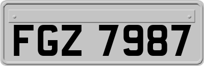 FGZ7987